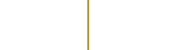 logo tna exportação